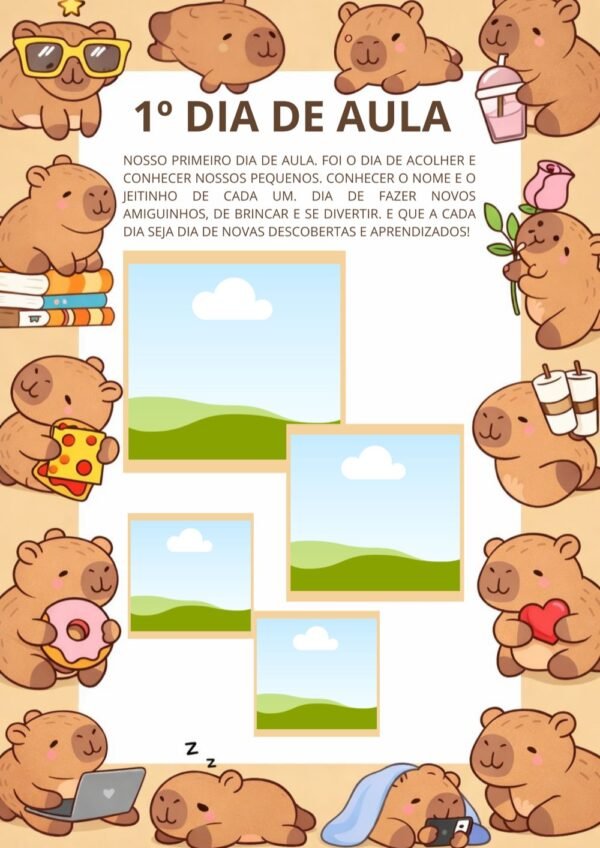 Portfólio Capivara - Imagem 4